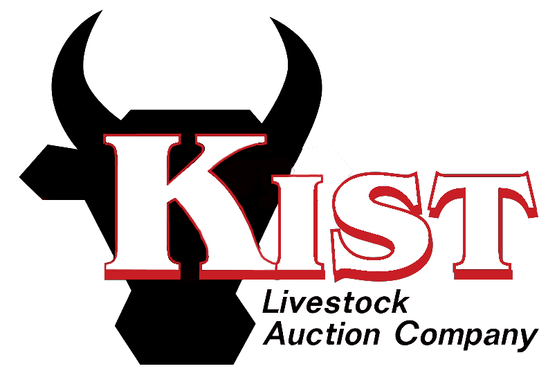 KIST Livestock Auction